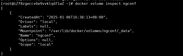 image-20250106165239856